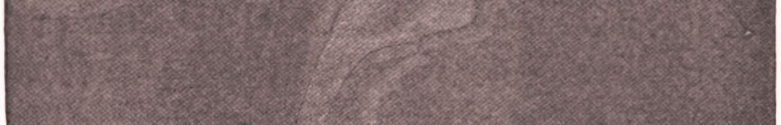 Cover of 'The Call of the Wild' by Jack London Cover of 'The Call of the Wild' by Jack London