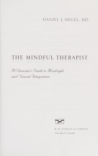 Cover of 'The Mindful Therapist' by Daniel J. Siegel Cover of 'The Mindful Therapist' by Daniel J. Siegel
